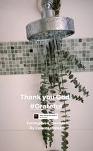 Load image into Gallery viewer, Eucalyptus Bundles (Local Pick Up)