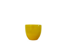 Load image into Gallery viewer, Liberty Bell Planter