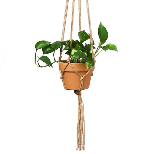 Macrame Hanger