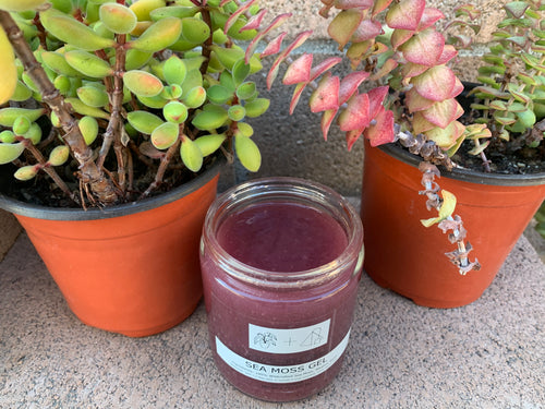100% Wildcrafted Purple Sea Moss Gel