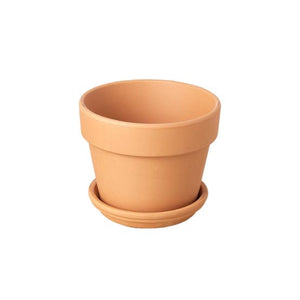 Terra Cotta Short Pot